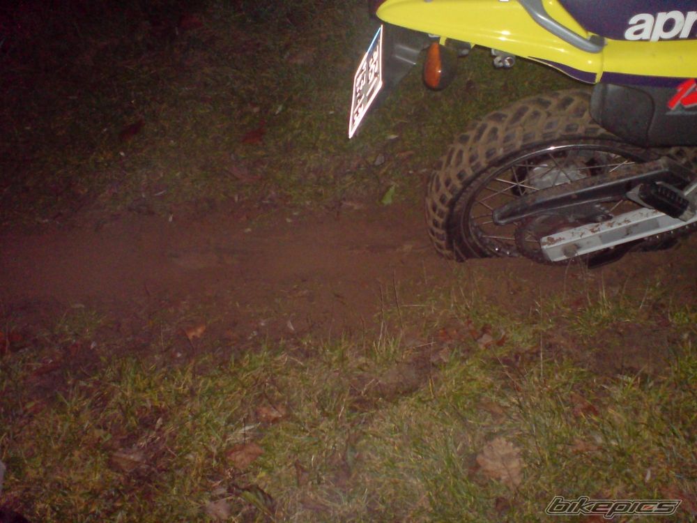 Photo 1542349