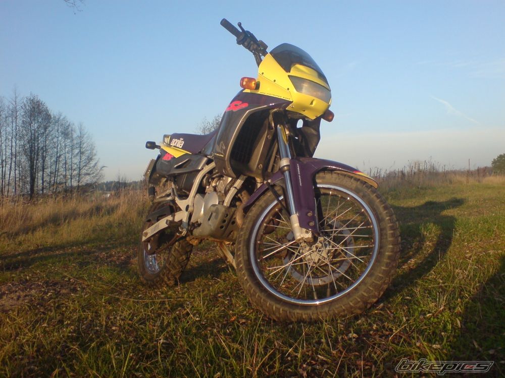 Photo 1542351