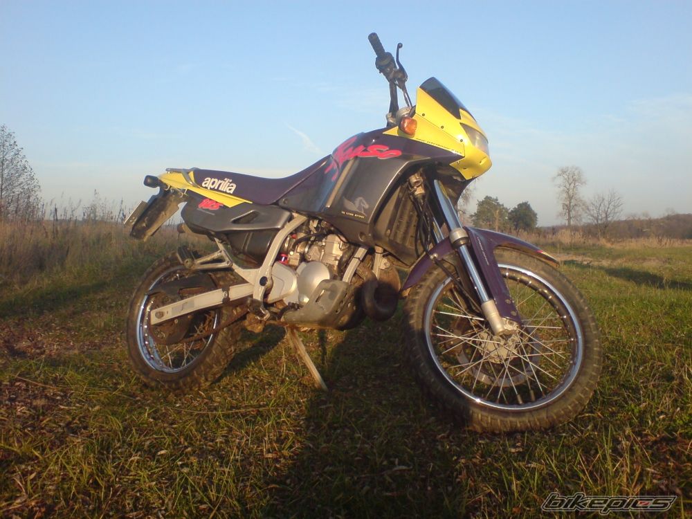 Photo 1542352