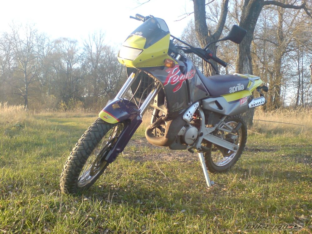 Photo 1542354