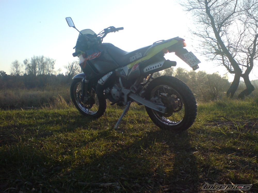 Photo 1542362