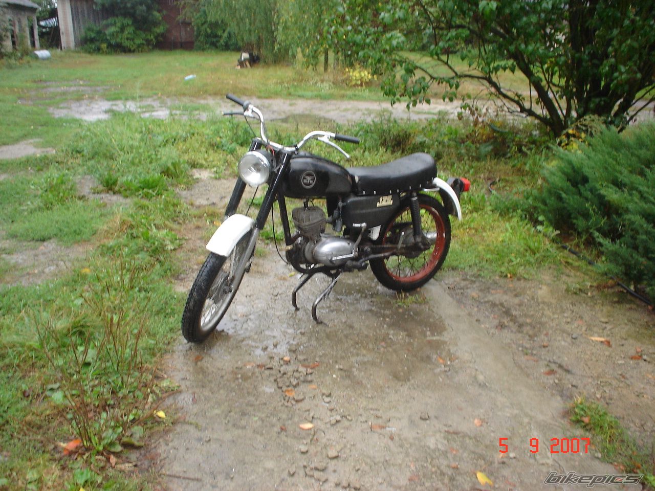 Photo 1542377