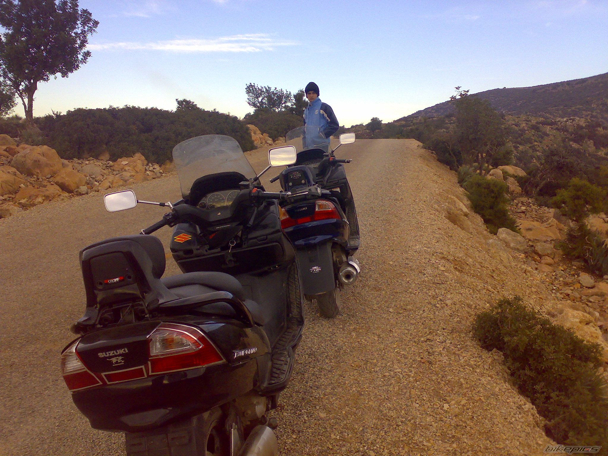 Photo 1542459