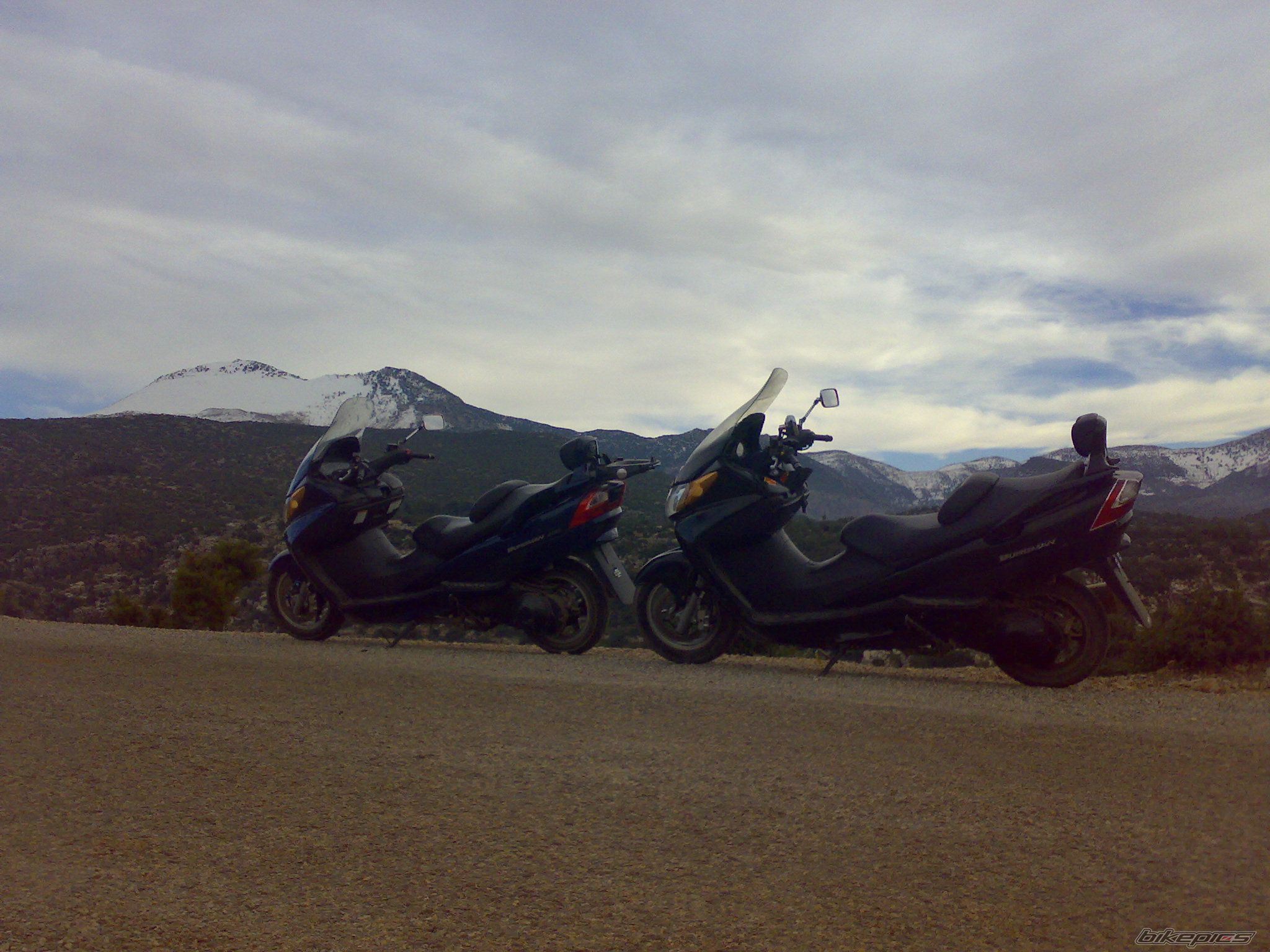 Photo 1542462