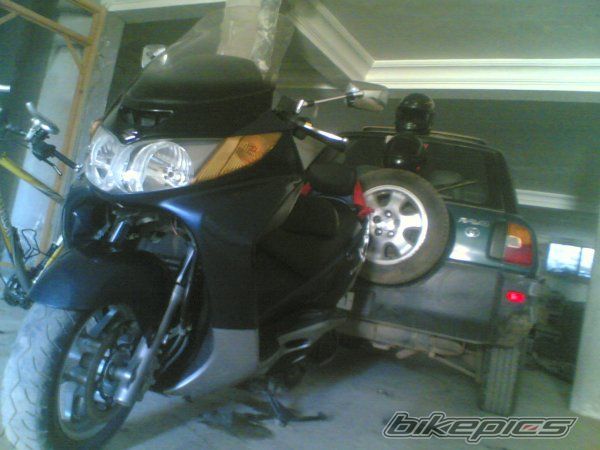 Photo 1542482