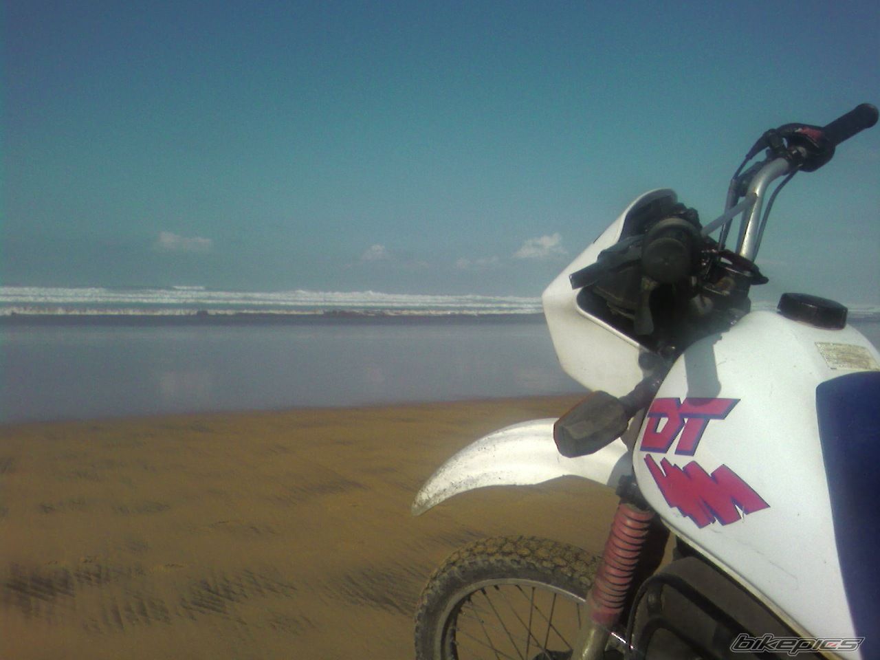 Photo 1542593