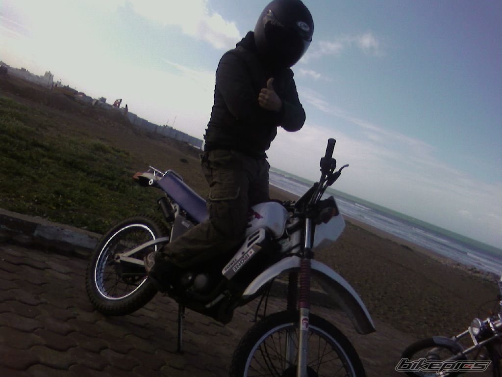 Photo 1542594
