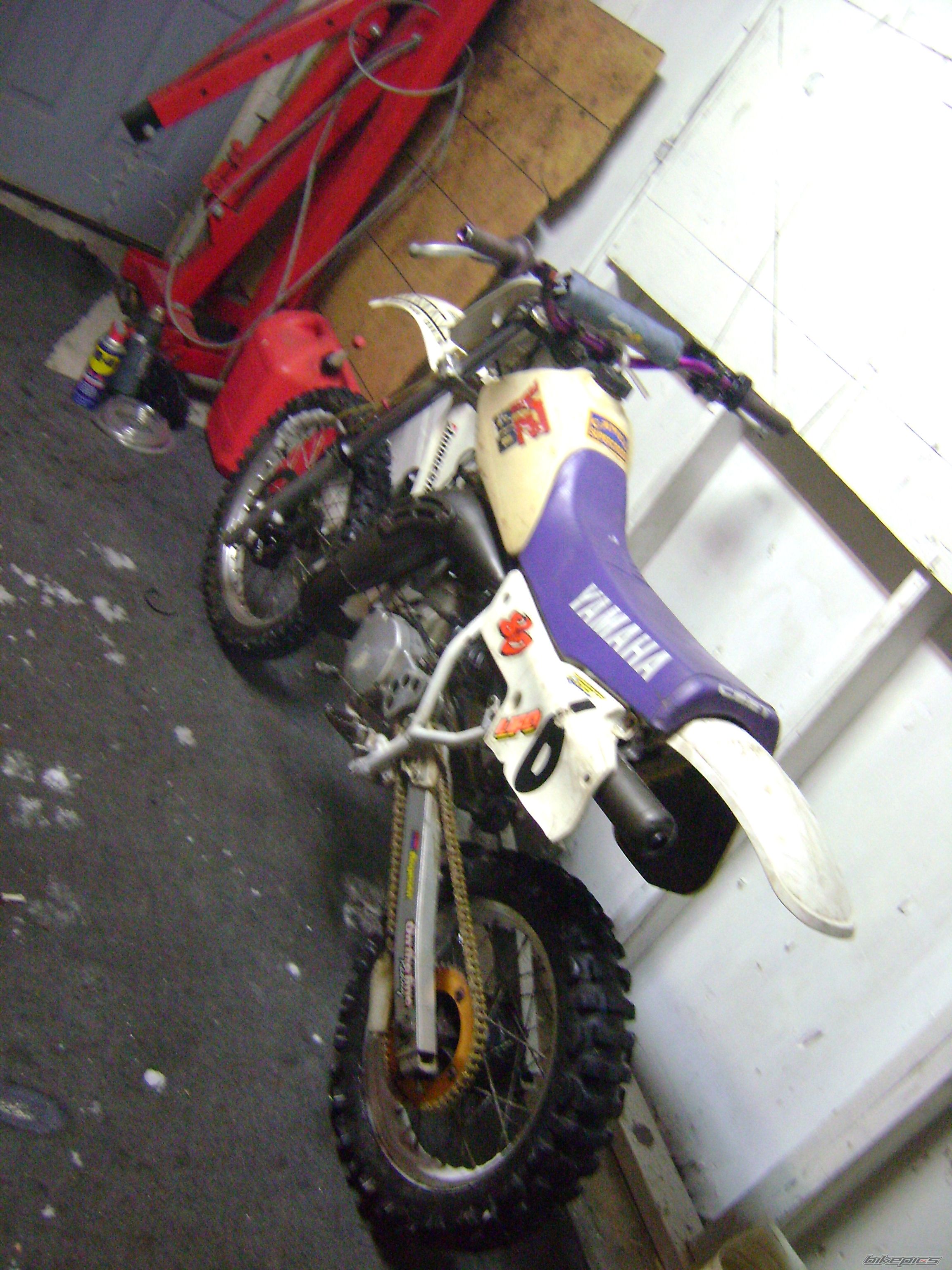 Photo 1542650