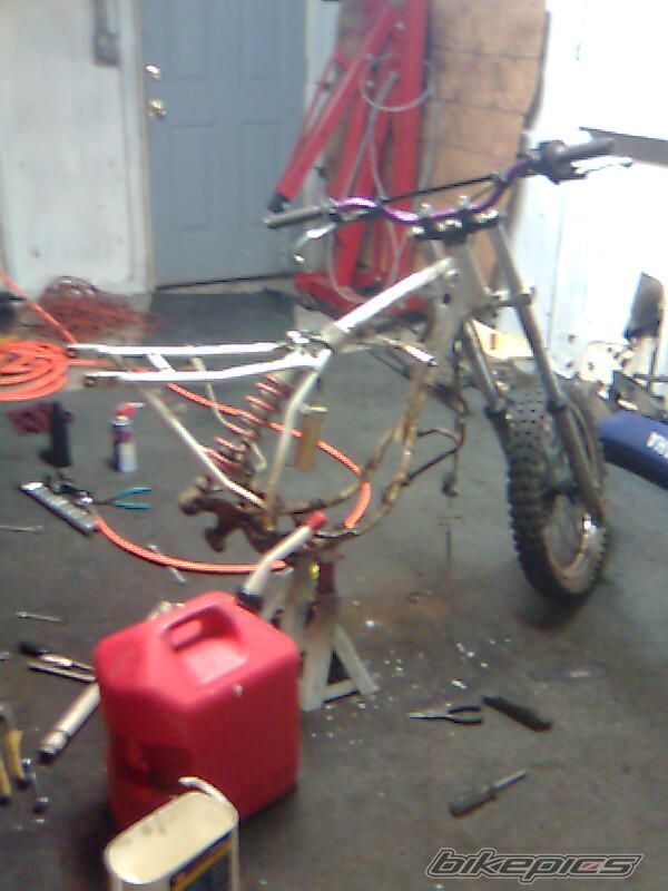 Photo 1542654