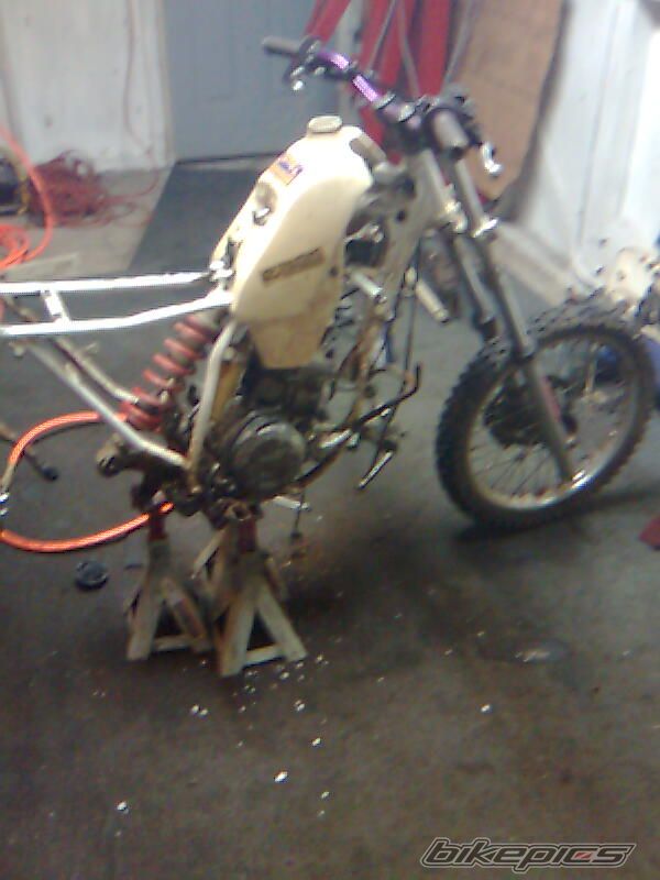 Photo 1542656