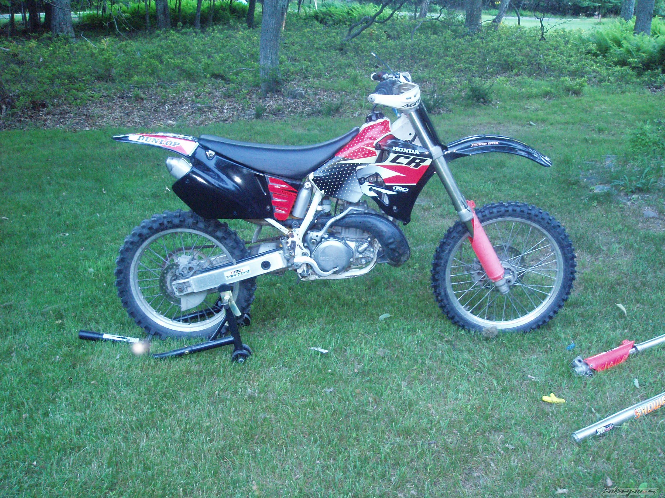 Photo 1542685