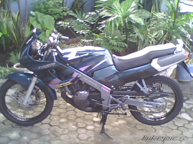 Photo 1542731