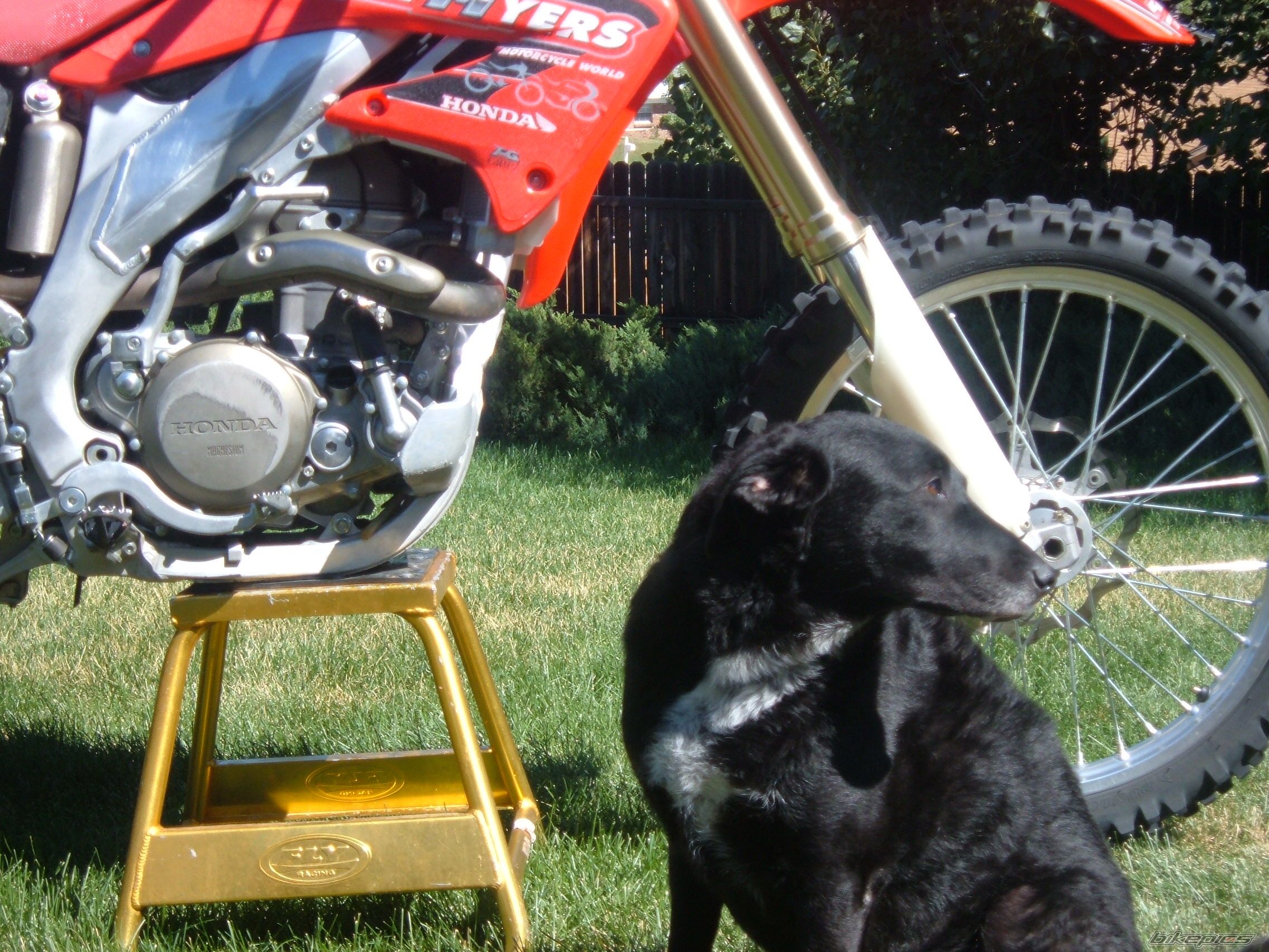 Bike Photo 1542751