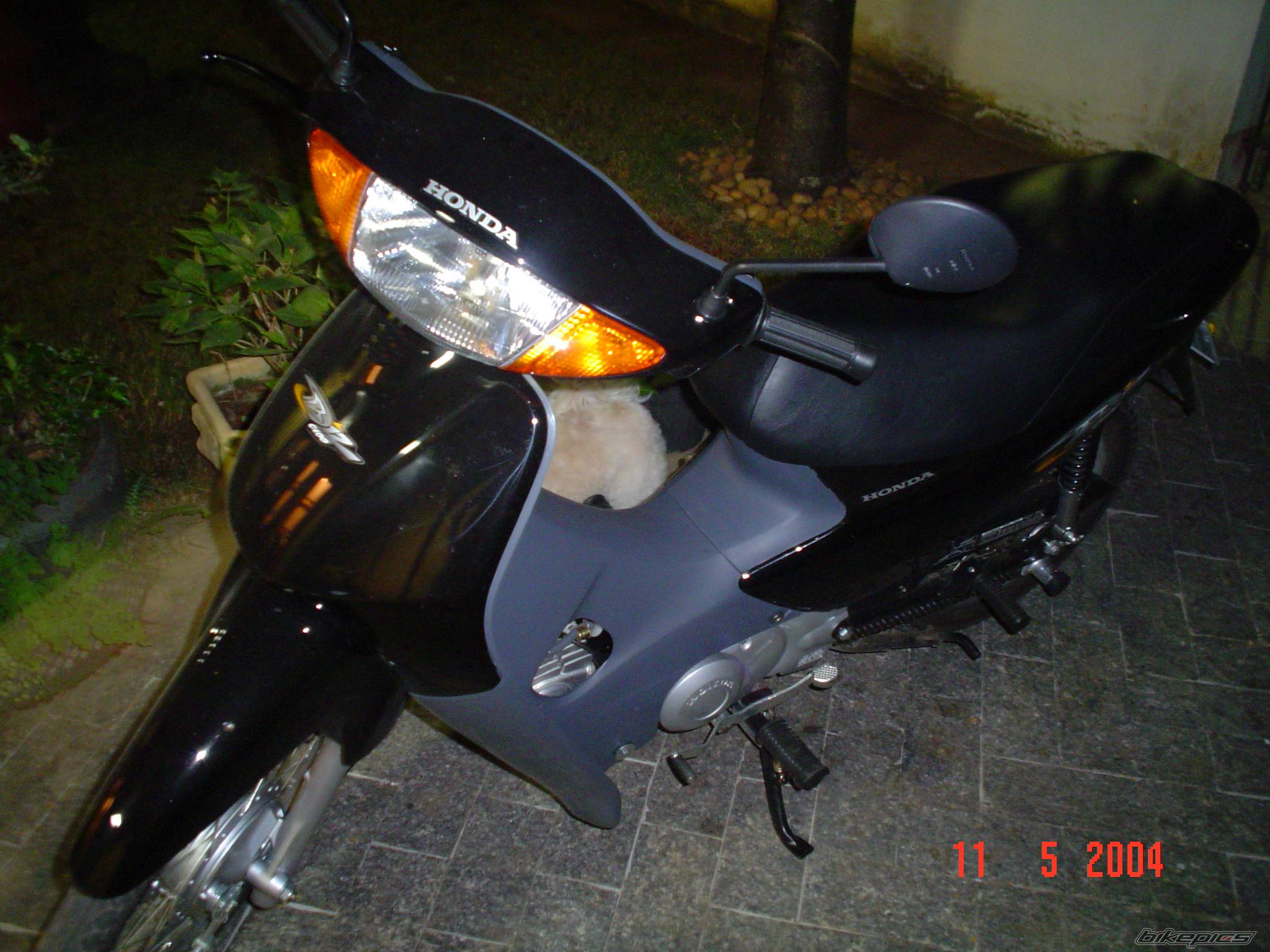 Photo 154281