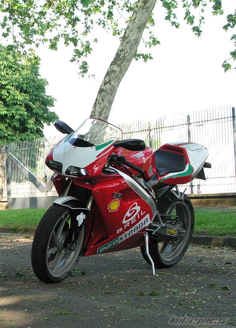 Photo 154285