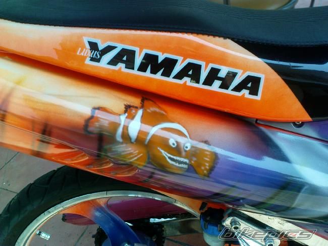 Photo 1542850