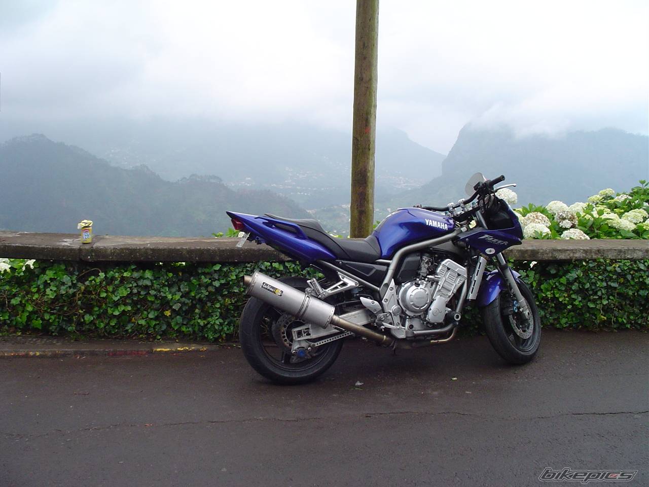 Photo 154286