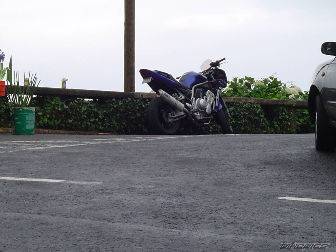 Photo 154287