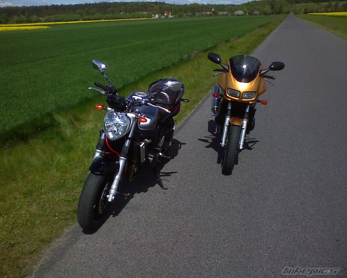 Photo 1542982