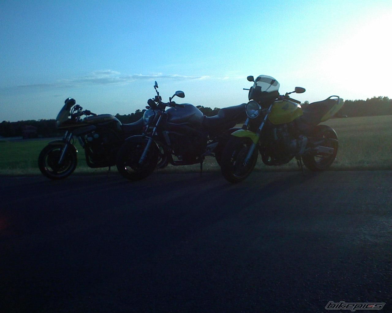 Photo 1542995