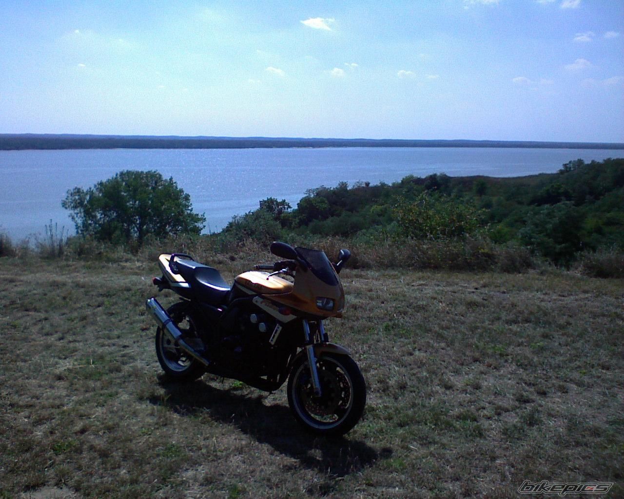 Photo 1543002