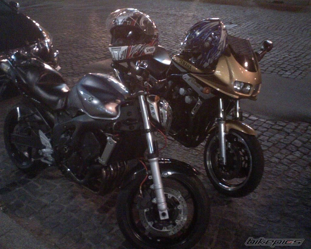Photo 1543035