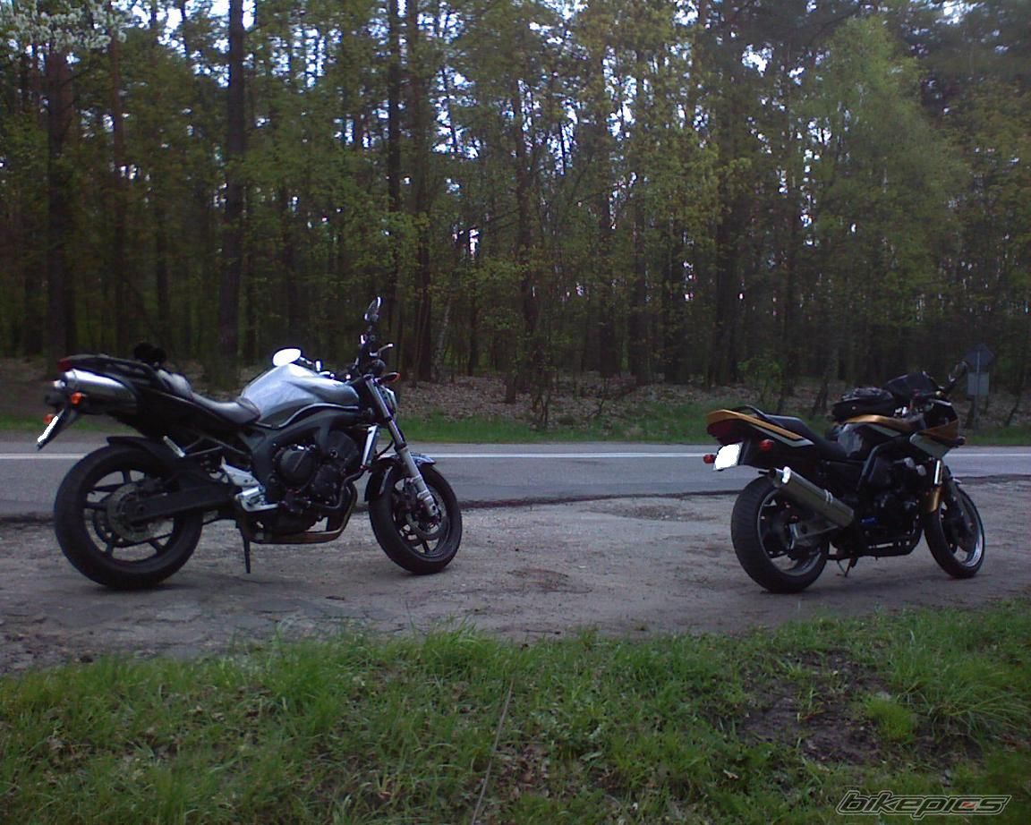 Photo 1543044
