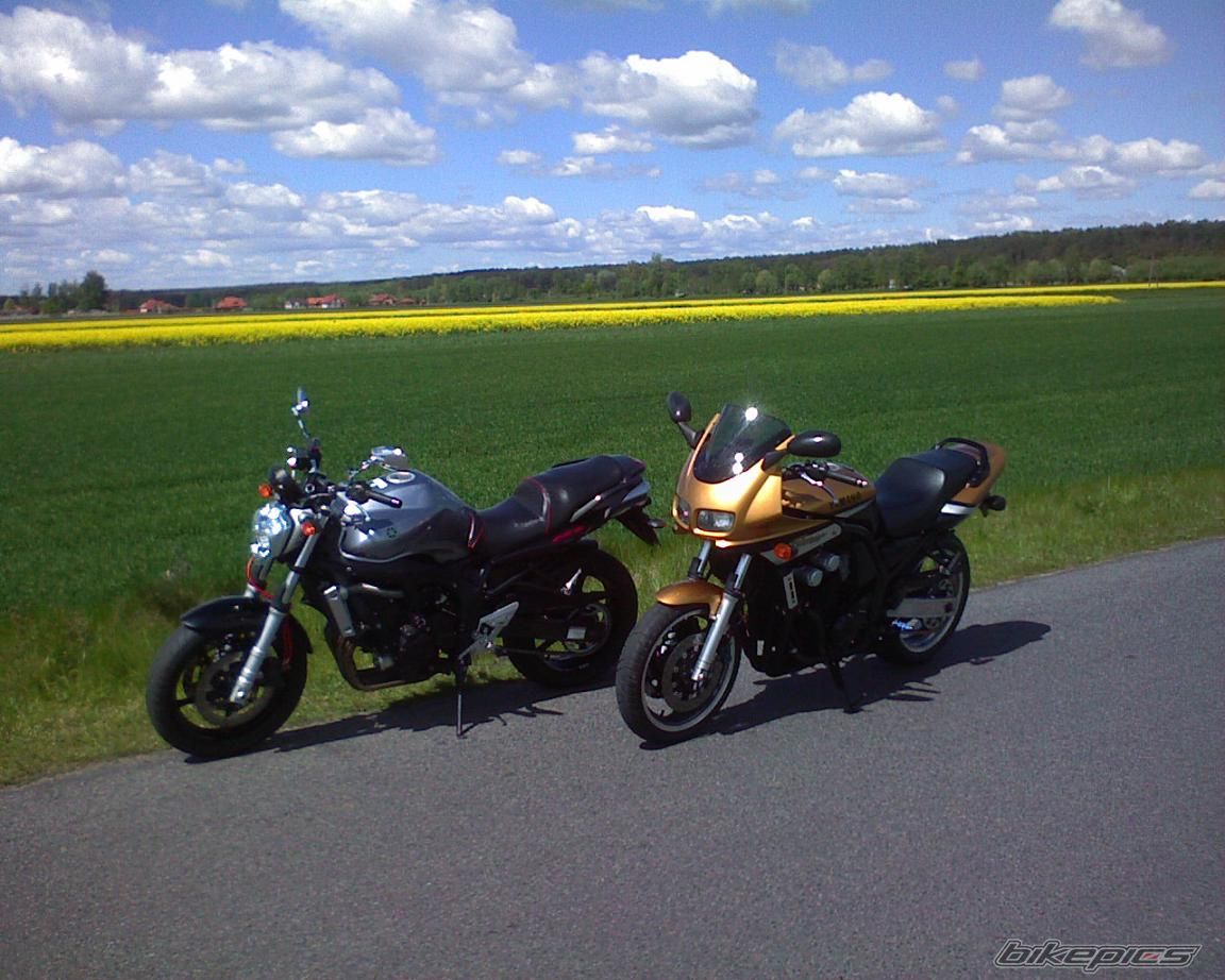 Photo 1543046
