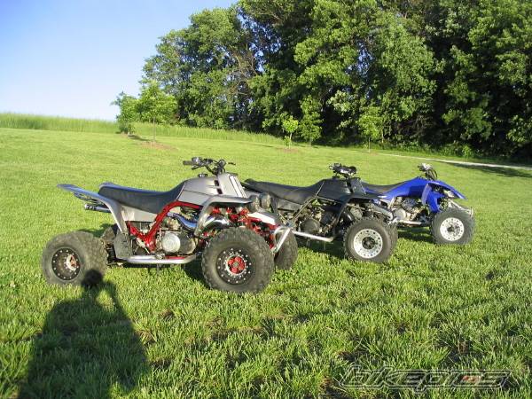 Photo 154308