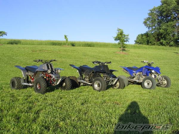 Photo 154309