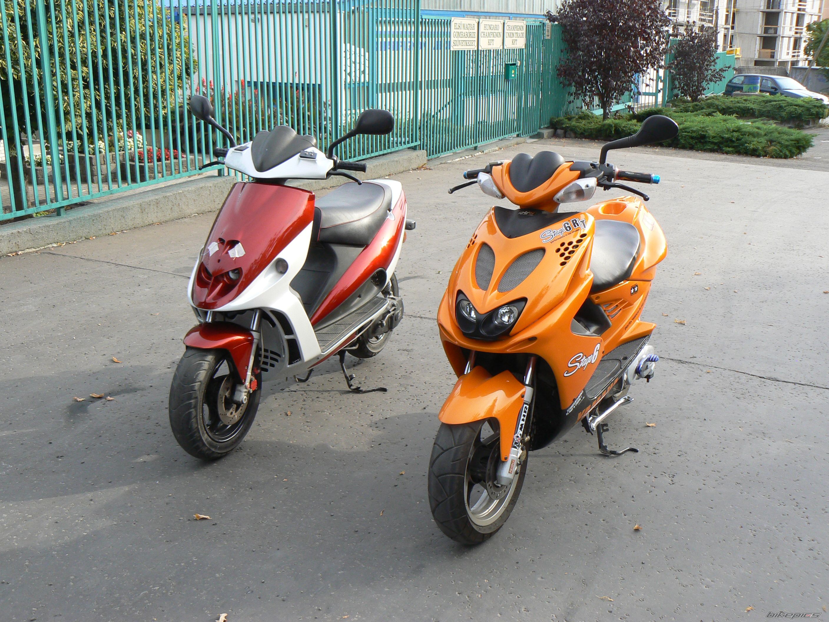 Photo 1543162