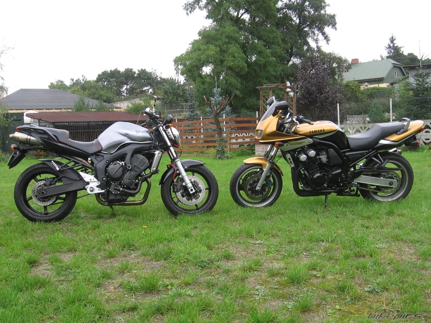 Photo 1543168