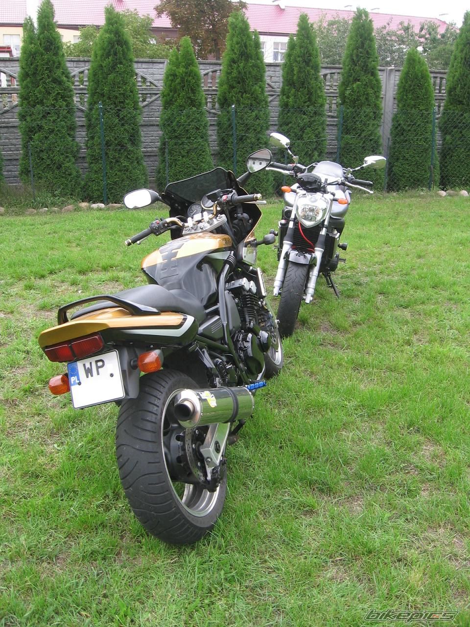 Photo 1543170