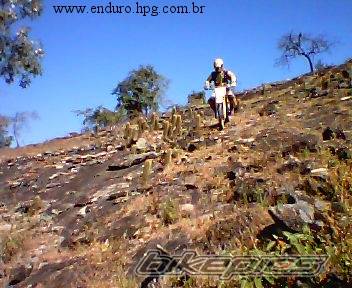 Photo 154318