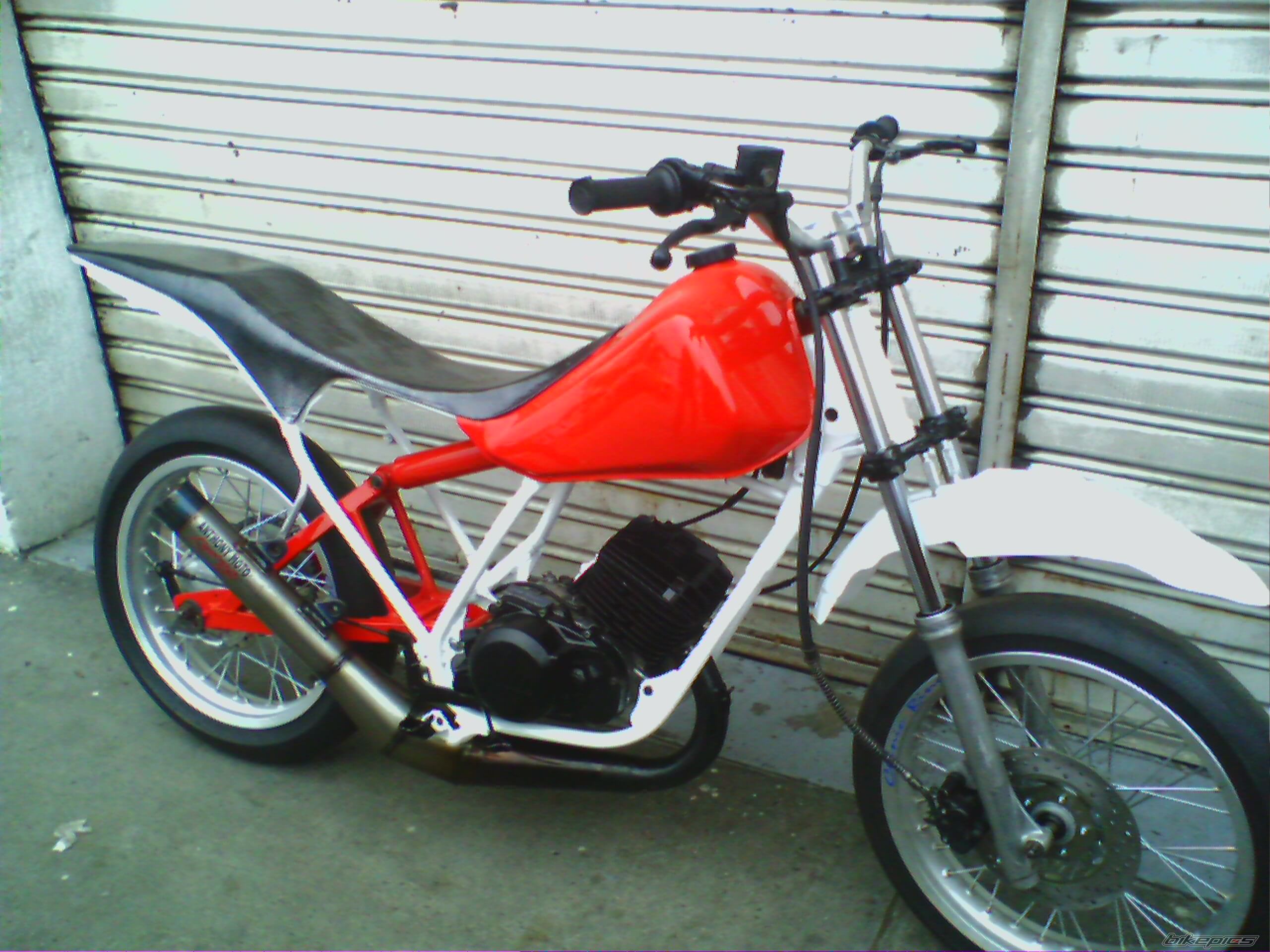 Photo 1543195