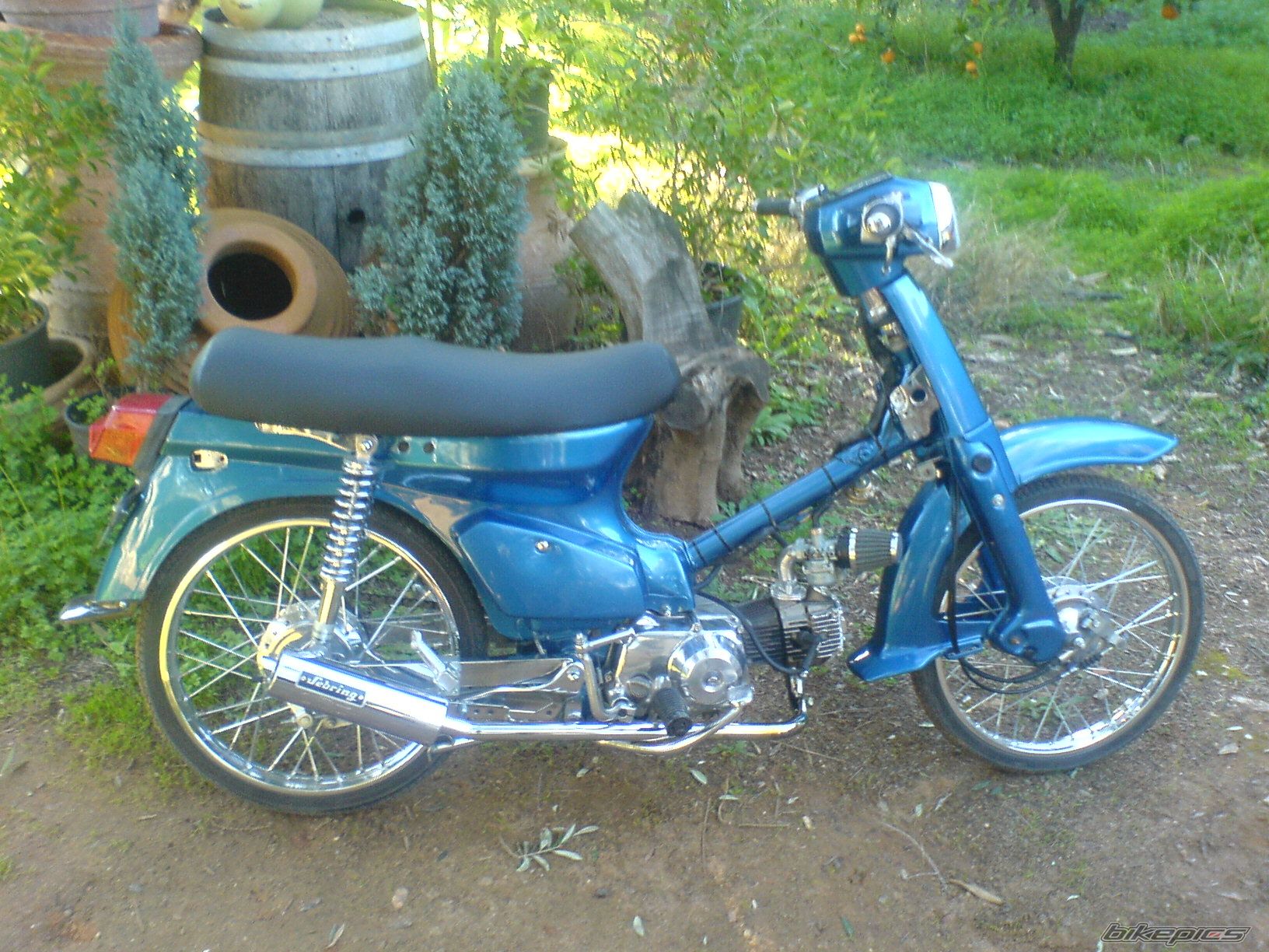 Photo 1543202