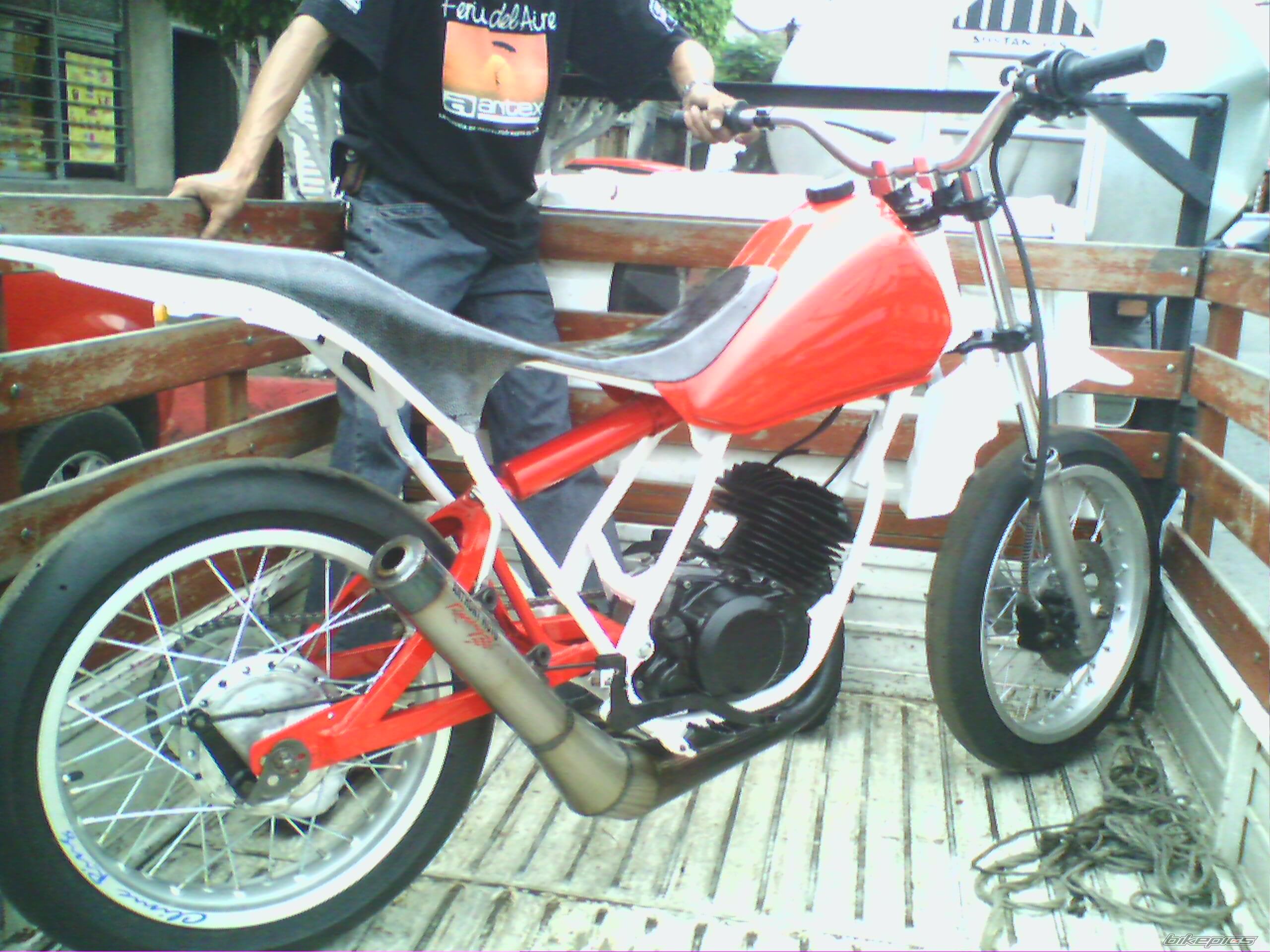 Photo 1543204