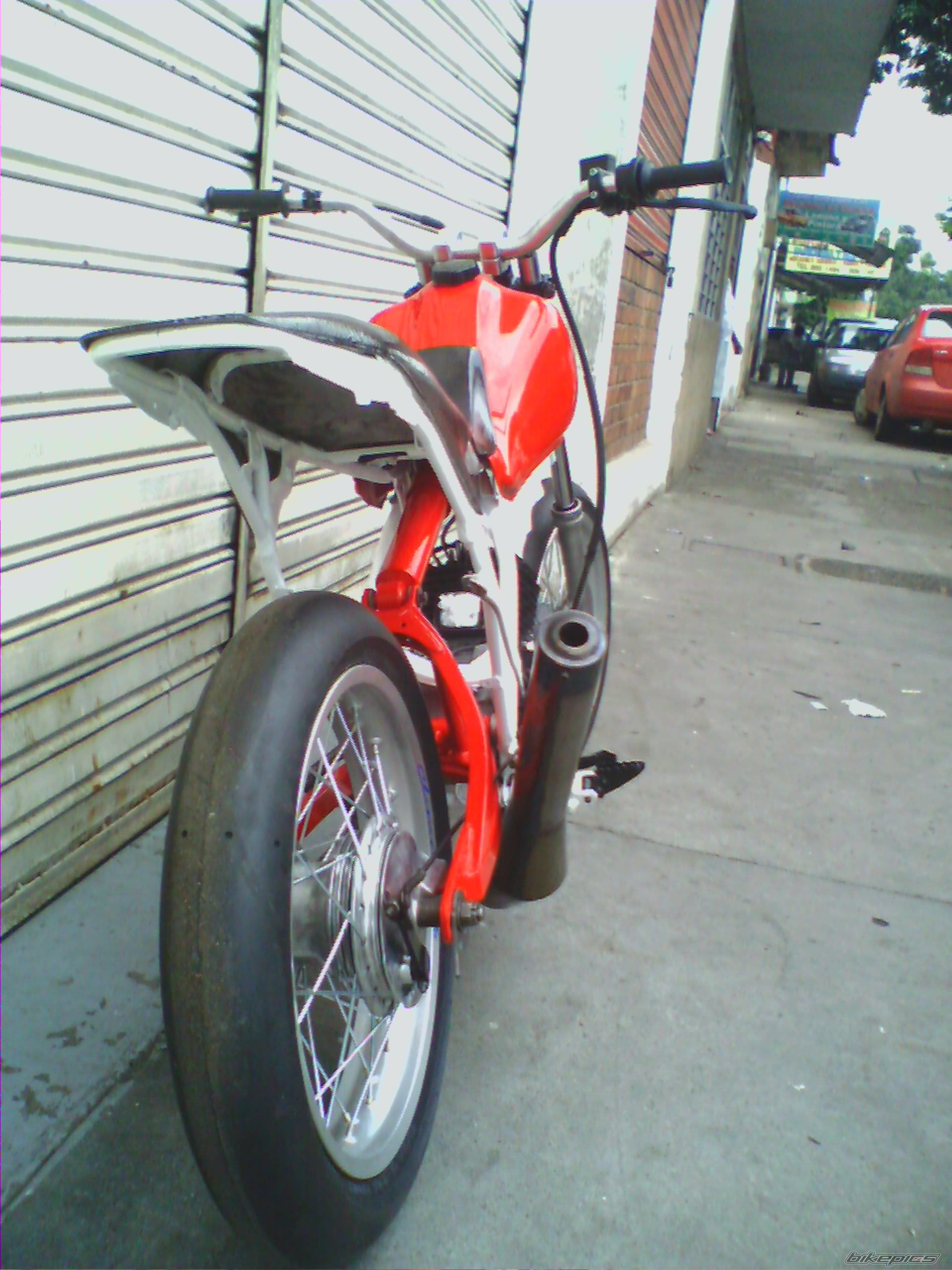 Photo 1543213