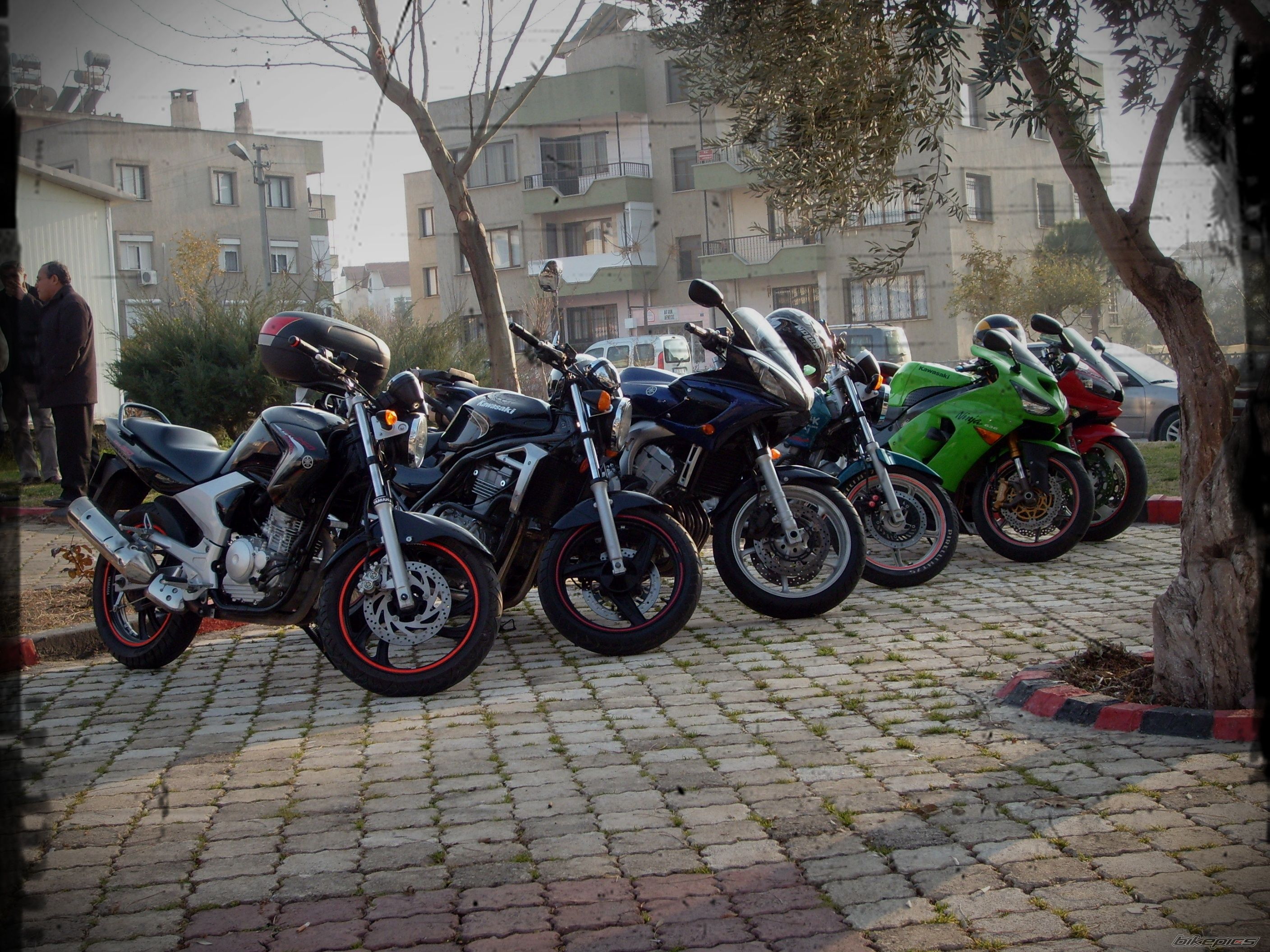 Photo 1543235