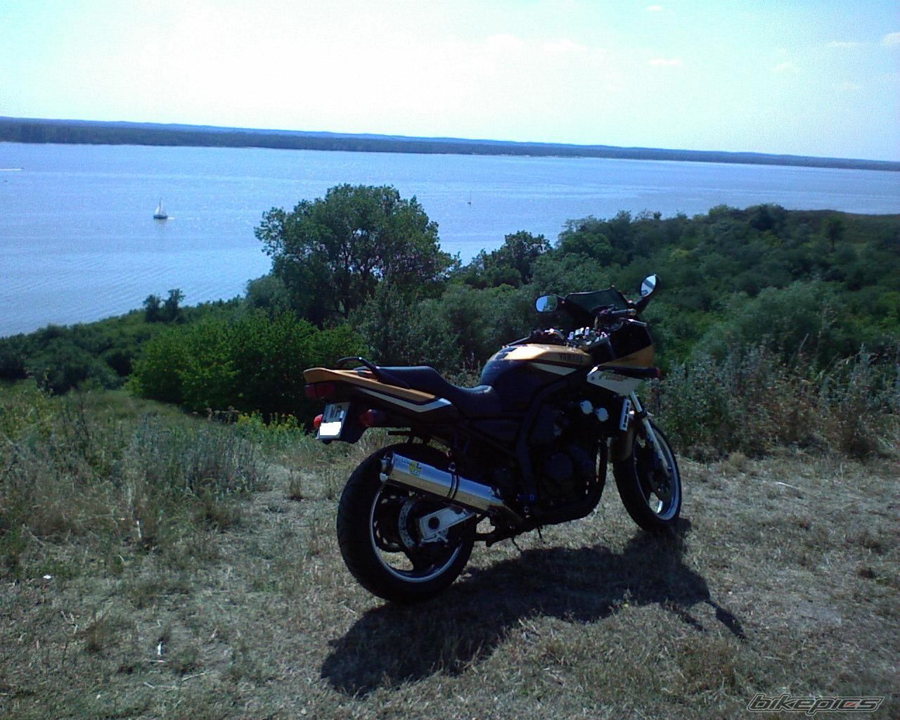 Photo 1543239