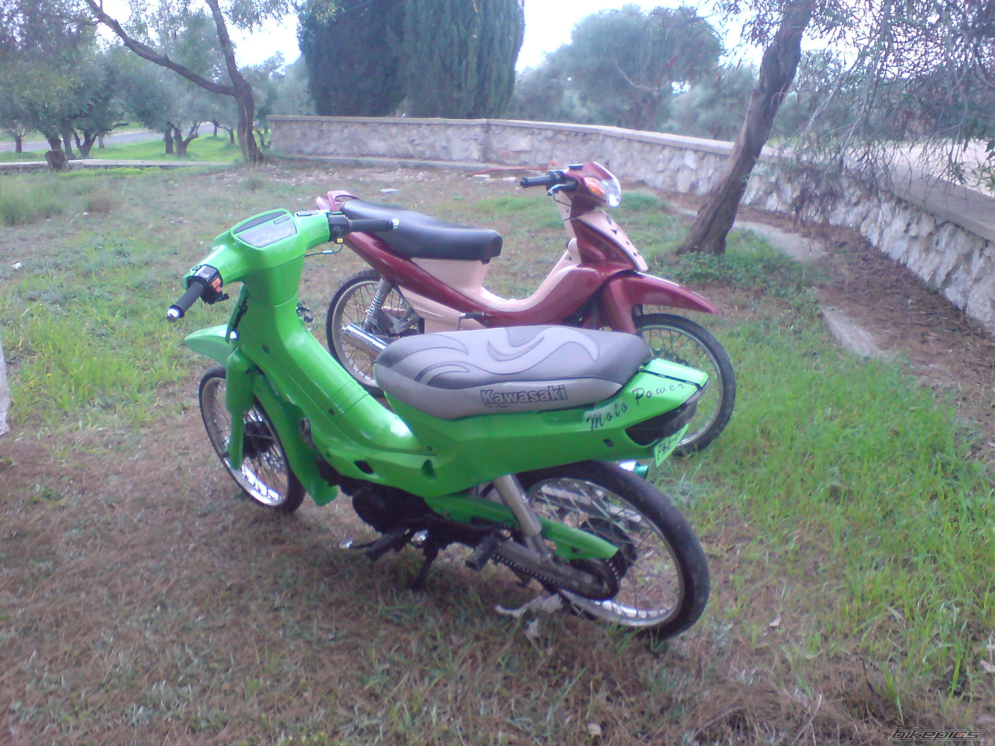 Photo 1543293