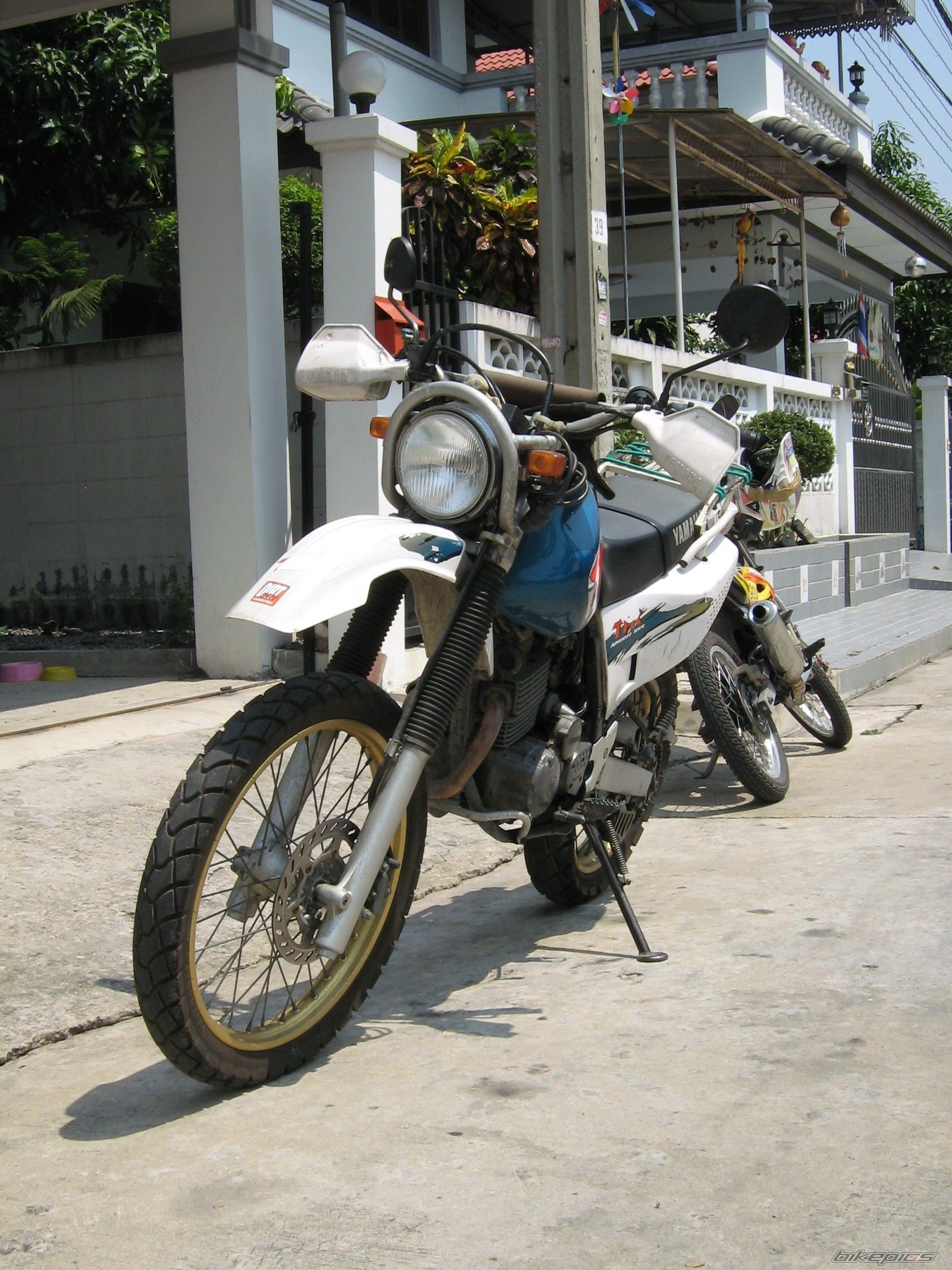 Photo 1543303