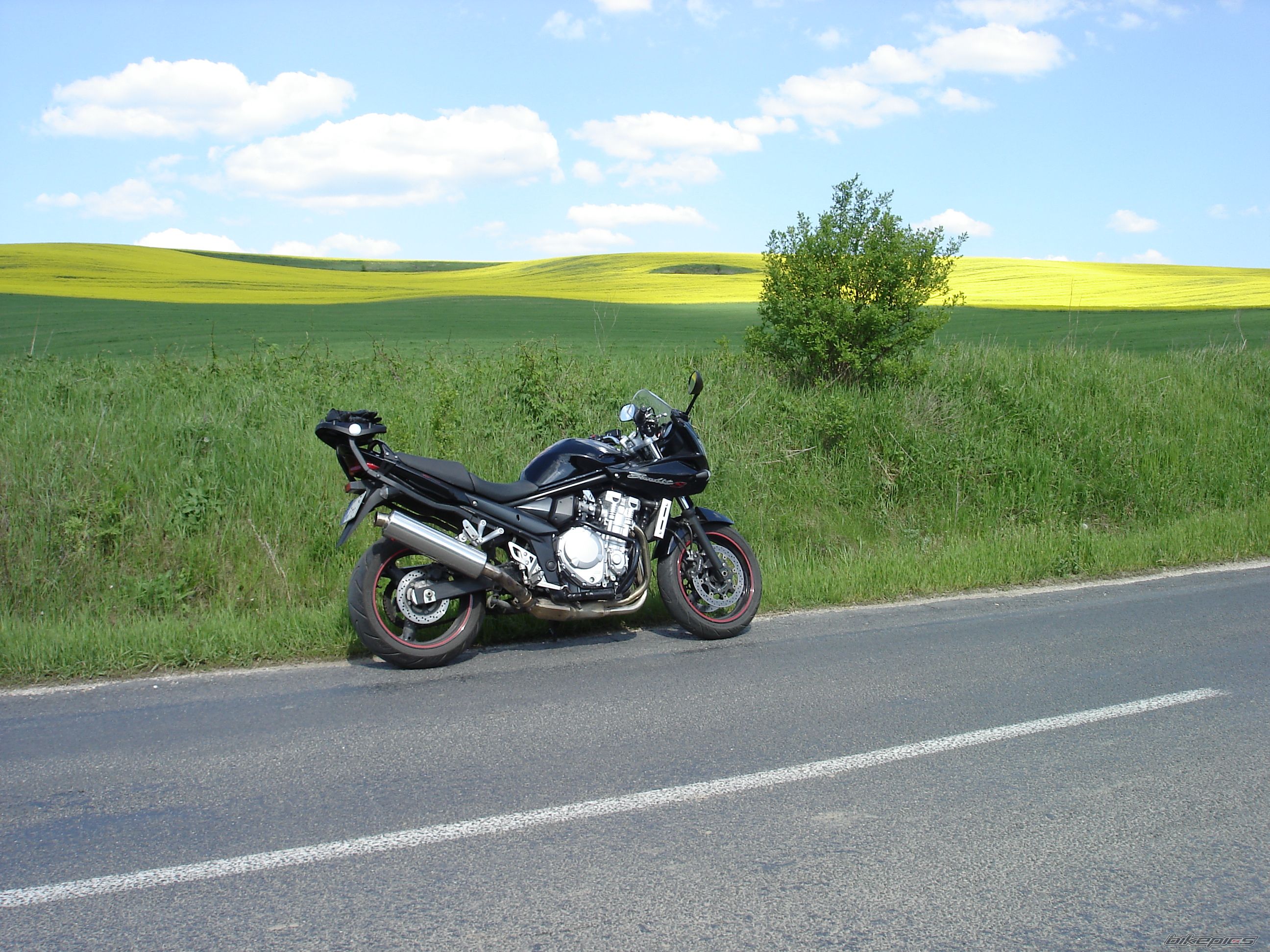 Photo 1543307