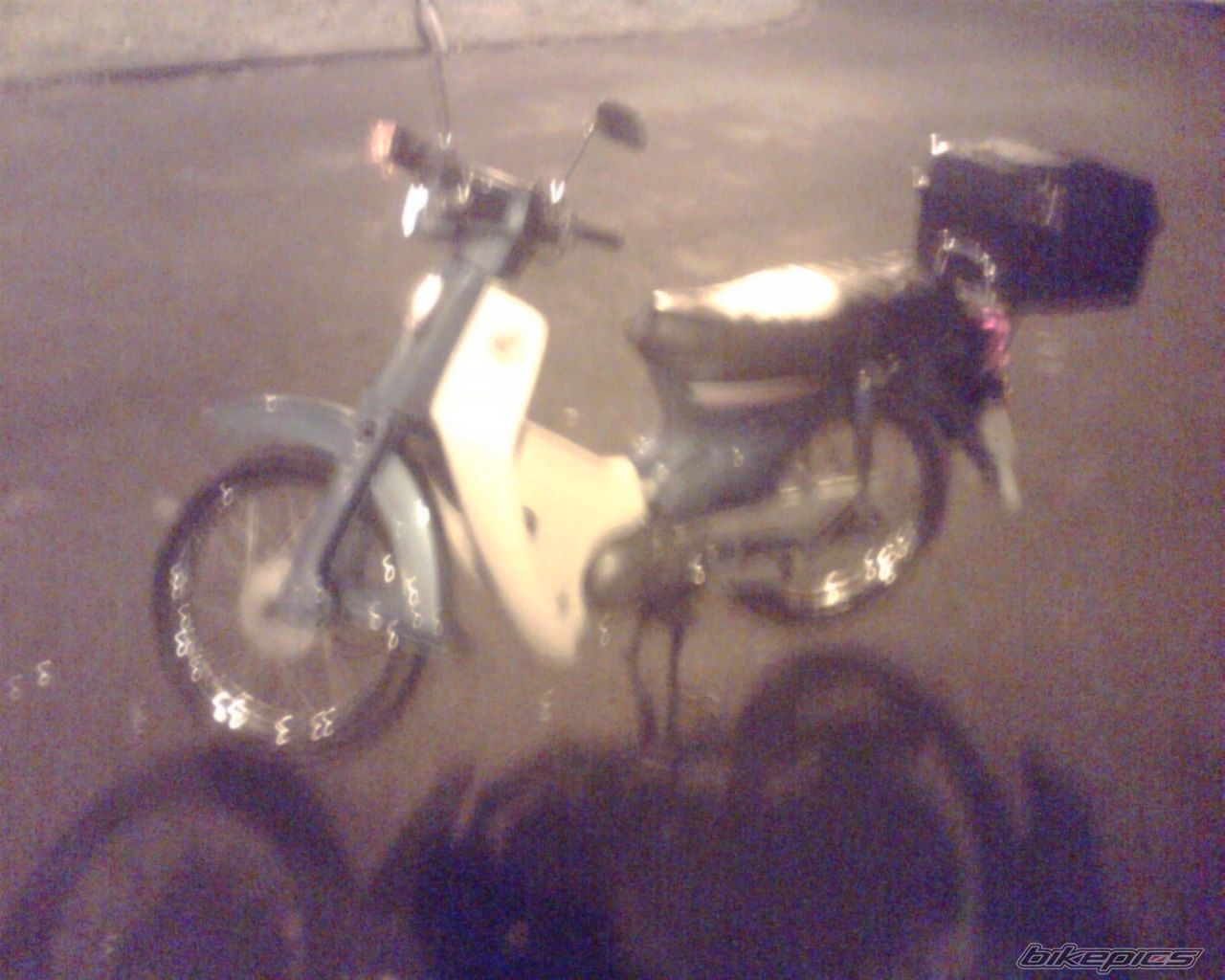 Photo 1543331