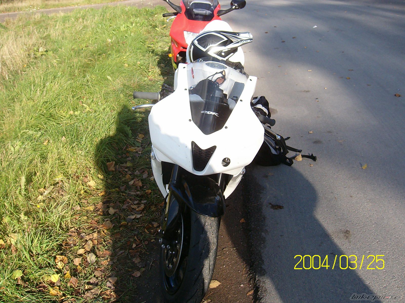 Photo 1543346