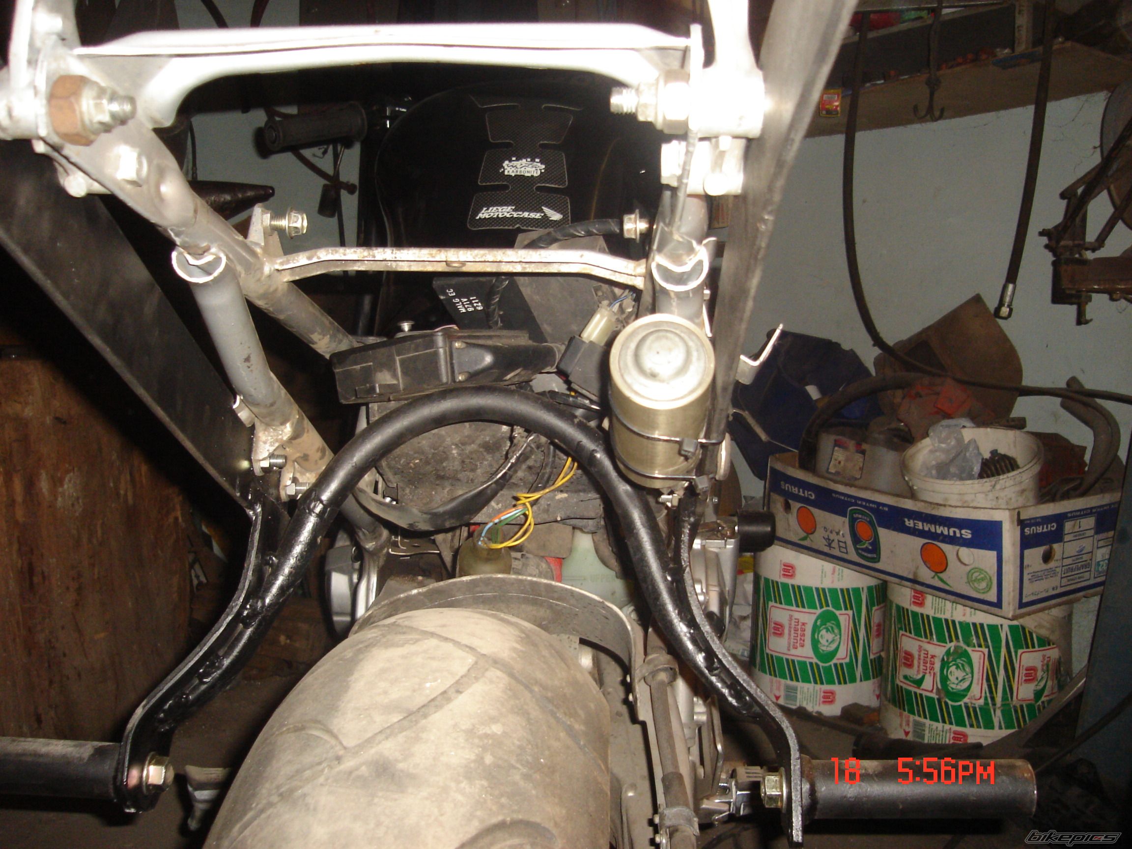 Photo 1543354