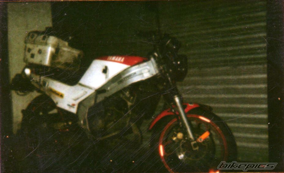Photo 1543405