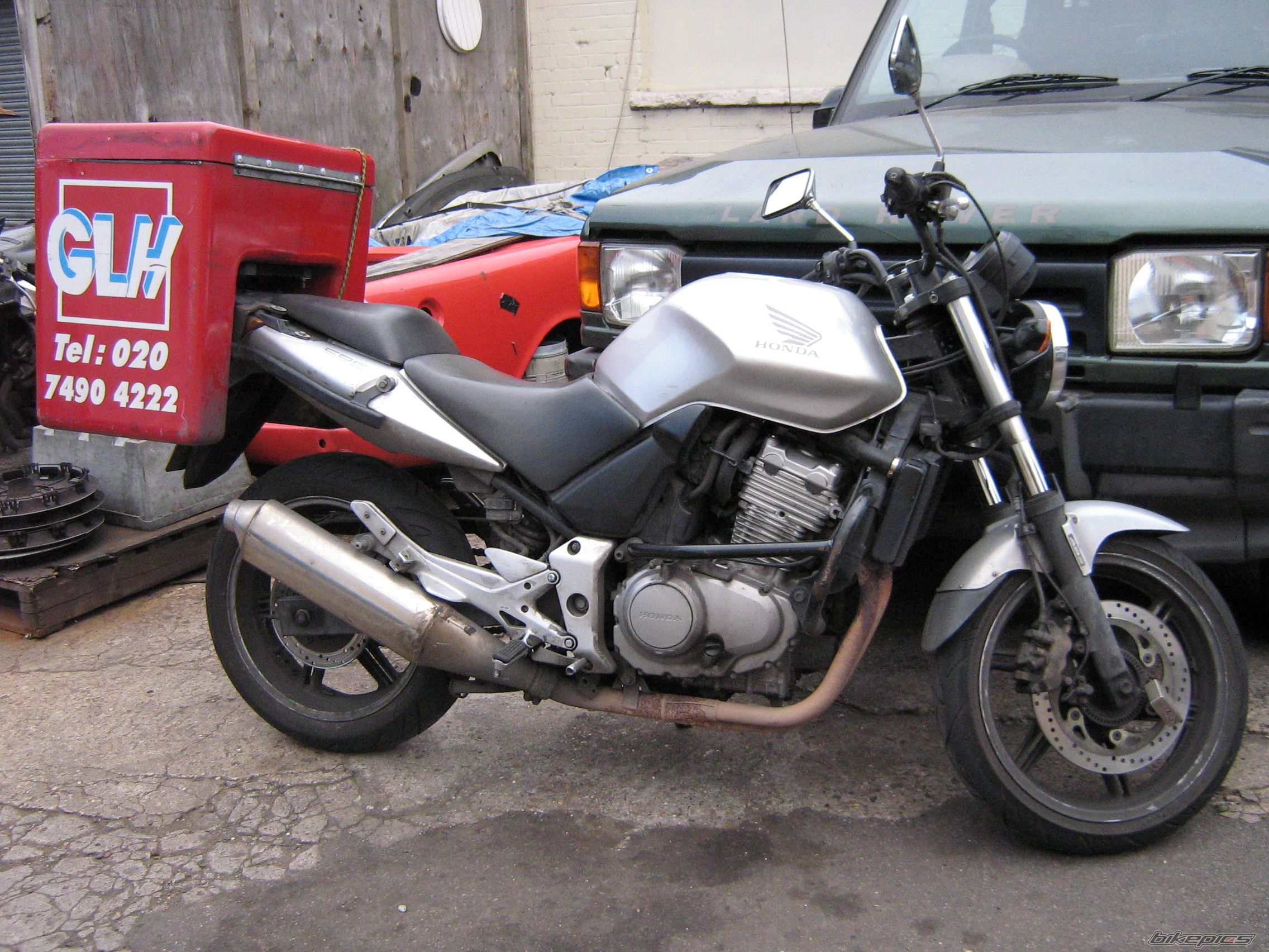 Photo 1543439
