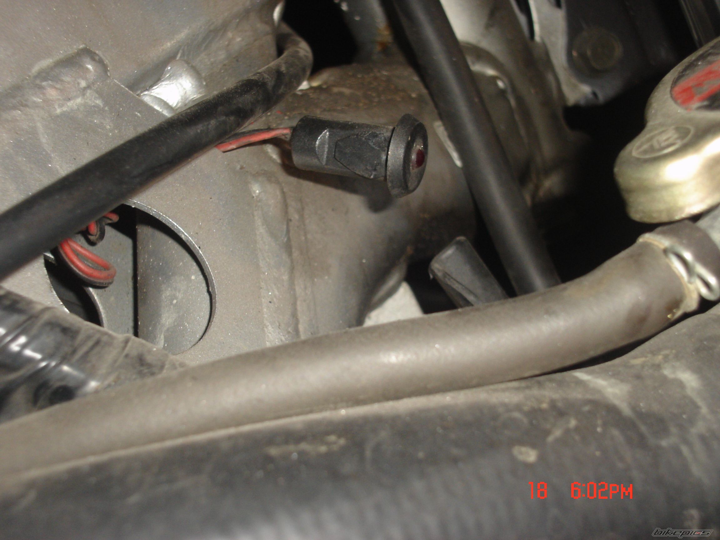 Photo 1543515
