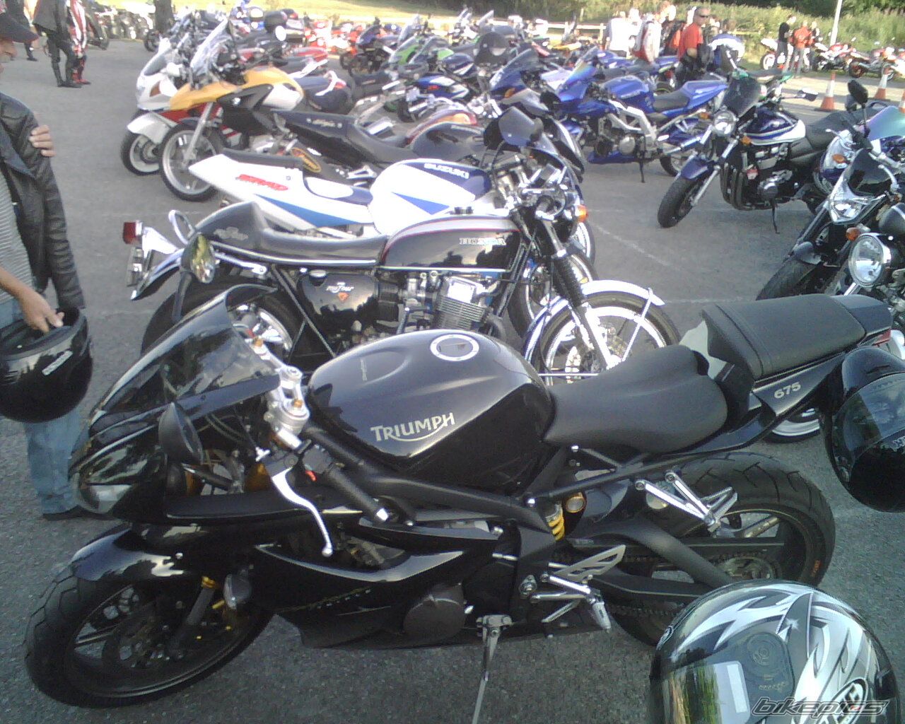 Photo 1543520